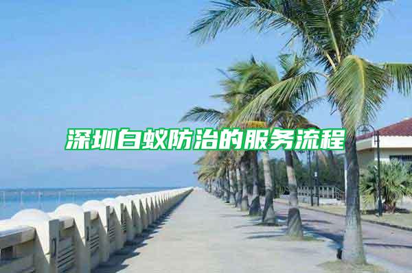 深圳白蟻防治的服務流程