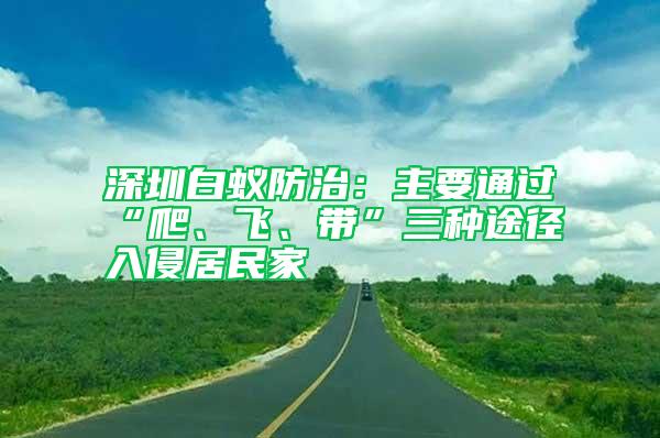 深圳白蟻防治：主要通過“爬、飛、帶”三種途徑入侵居民家