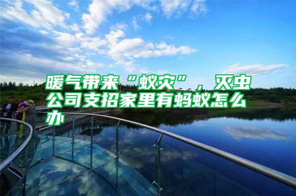 暖氣帶來“蟻災”，滅蟲公司支招家里有螞蟻怎么辦