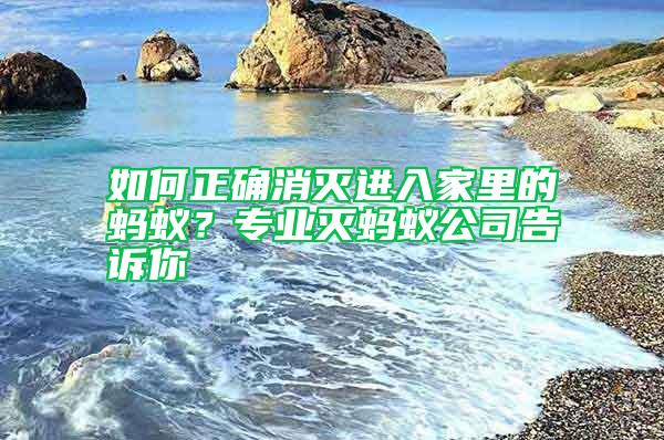 如何正確消滅進(jìn)入家里的螞蟻？專業(yè)滅螞蟻公司告訴你