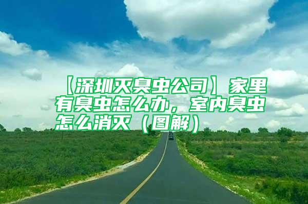 【深圳滅臭蟲公司】家里有臭蟲怎么辦，室內臭蟲怎么消滅（圖解）