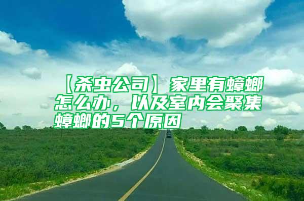 【殺蟲公司】家里有蟑螂怎么辦，以及室內(nèi)會聚集蟑螂的5個原因