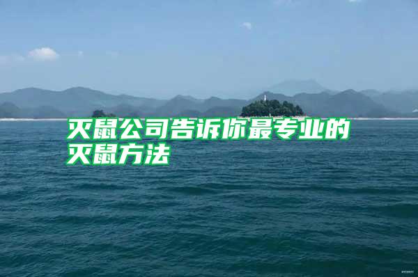 滅鼠公司告訴你最專業的滅鼠方法