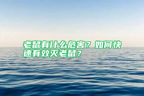 老鼠有什么危害？如何快速有效滅老鼠？