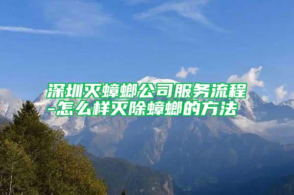 深圳滅蟑螂公司服務流程-怎么樣滅除蟑螂的方法