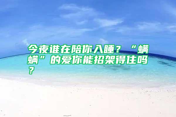 今夜誰在陪你入睡？“螨螨”的愛你能招架得住嗎？