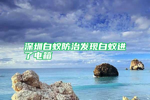 深圳白蟻防治發現白蟻進了電箱