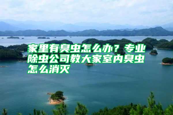 家里有臭蟲怎么辦？專業(yè)除蟲公司教大家室內(nèi)臭蟲怎么消滅