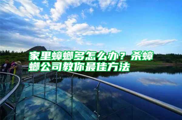 家里蟑螂多怎么辦？殺蟑螂公司教你最佳方法