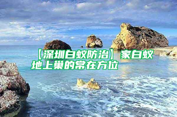 【深圳白蟻防治】家白蟻地上巢的常在方位