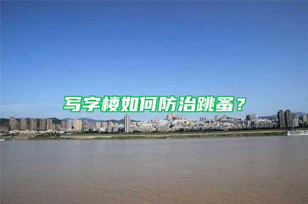 寫字樓如何防治跳蚤？