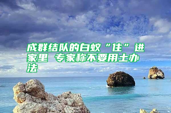 成群結隊的白蟻“住”進家里 專家稱不要用土辦法