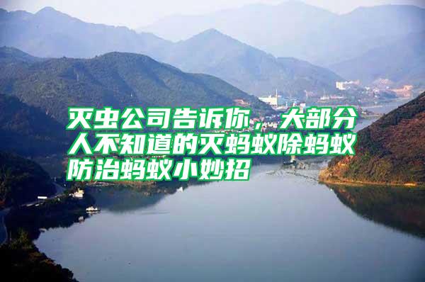 滅蟲公司告訴你，大部分人不知道的滅螞蟻除螞蟻防治螞蟻小妙招