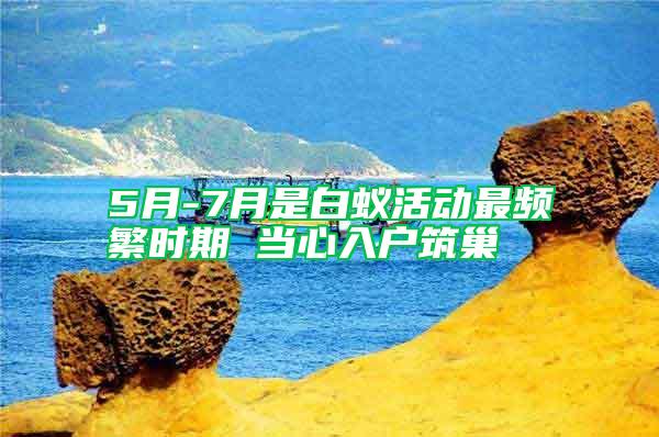 5月-7月是白蟻活動最頻繁時期 當心入戶筑巢