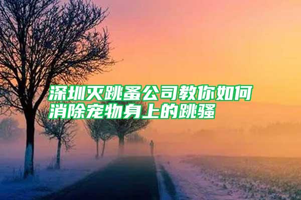 深圳滅跳蚤公司教你如何消除寵物身上的跳騷