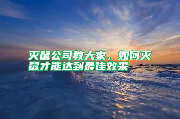 滅鼠公司教大家，如何滅鼠才能達到最佳效果