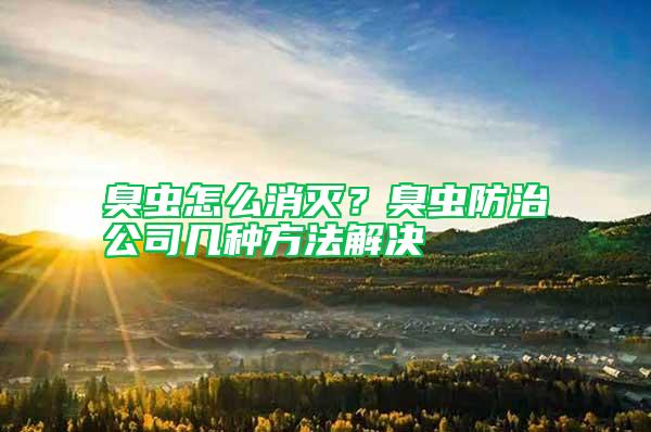 臭蟲怎么消滅？臭蟲防治公司幾種方法解決