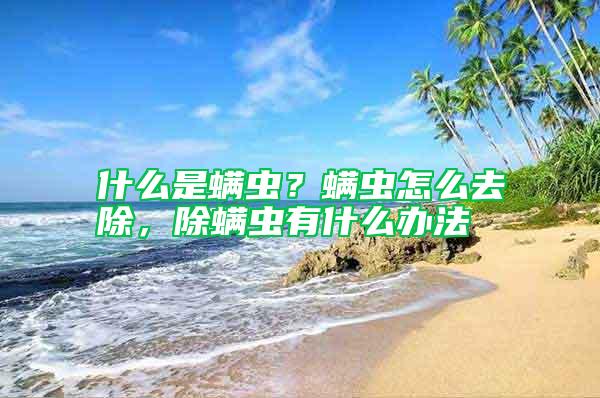 什么是螨蟲(chóng)？螨蟲(chóng)怎么去除，除螨蟲(chóng)有什么辦法