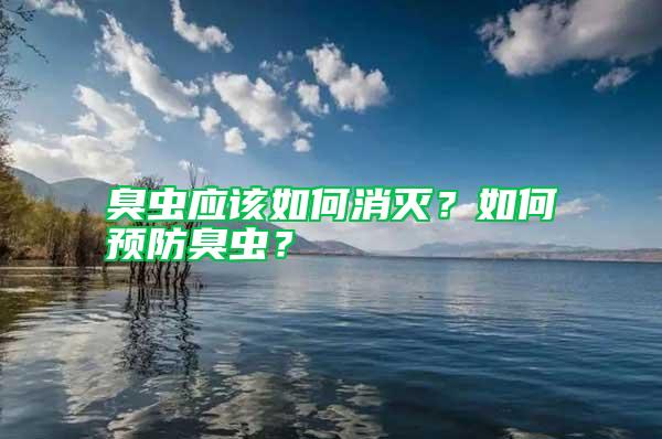 臭蟲應(yīng)該如何消滅？如何預(yù)防臭蟲？