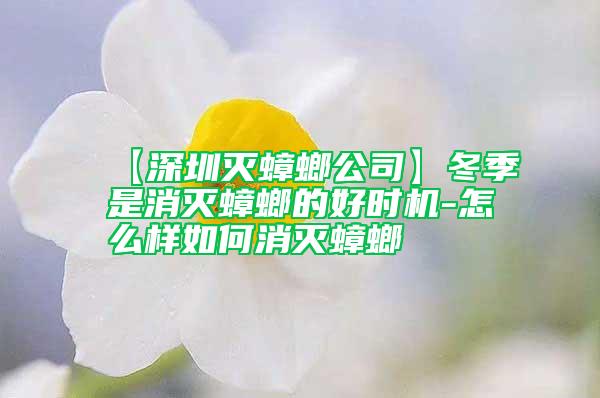 【深圳滅蟑螂公司】冬季是消滅蟑螂的好時機-怎么樣如何消滅蟑螂