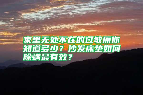 家里無處不在的過敏原你知道多少？沙發床墊如何除螨最有效？