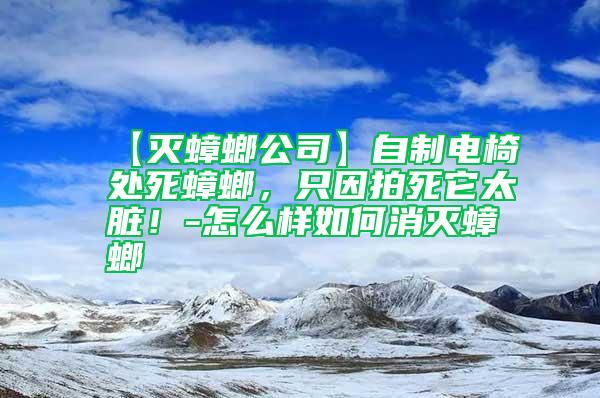 【滅蟑螂公司】自制電椅處死蟑螂，只因拍死它太臟！-怎么樣如何消滅蟑螂