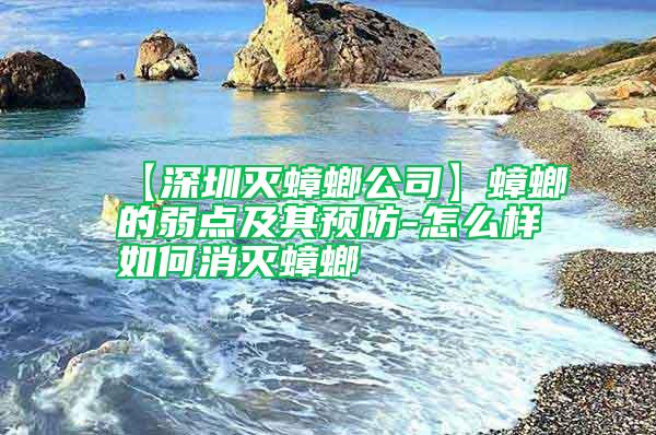 【深圳滅蟑螂公司】蟑螂的弱點及其預防-怎么樣如何消滅蟑螂