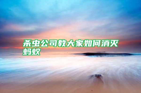 殺蟲公司教大家如何消滅螞蟻