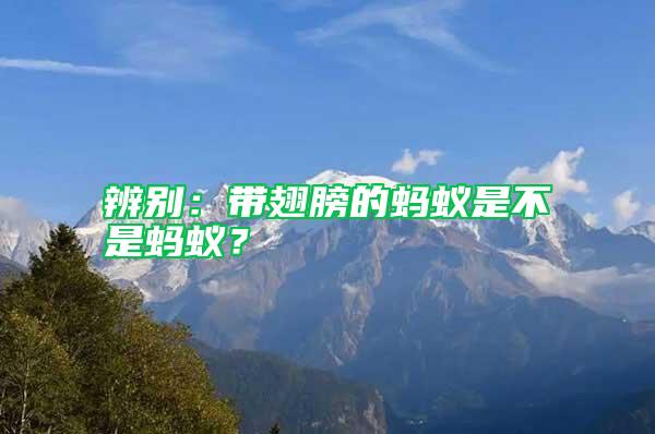 辨別：帶翅膀的螞蟻是不是螞蟻？