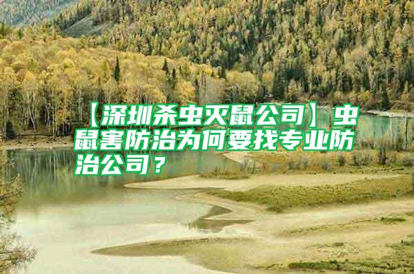 【深圳殺蟲滅鼠公司】蟲鼠害防治為何要找專業防治公司？