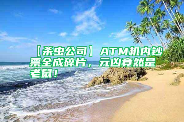 【殺蟲公司】ATM機內鈔票全成碎片，元兇竟然是老鼠！