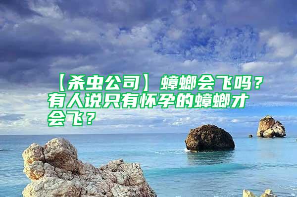 【殺蟲公司】蟑螂會飛嗎？有人說只有懷孕的蟑螂才會飛？