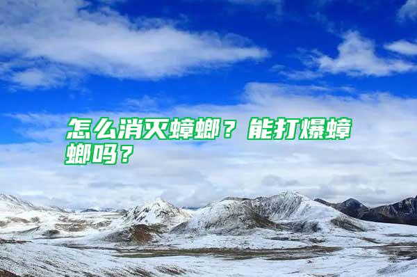 怎么消滅蟑螂？能打爆蟑螂嗎？