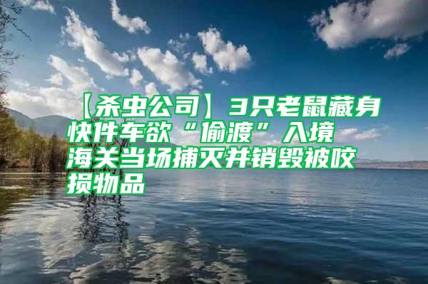 【殺蟲公司】3只老鼠藏身快件車欲“偷渡”入境 海關當場捕滅并銷毀被咬損物品