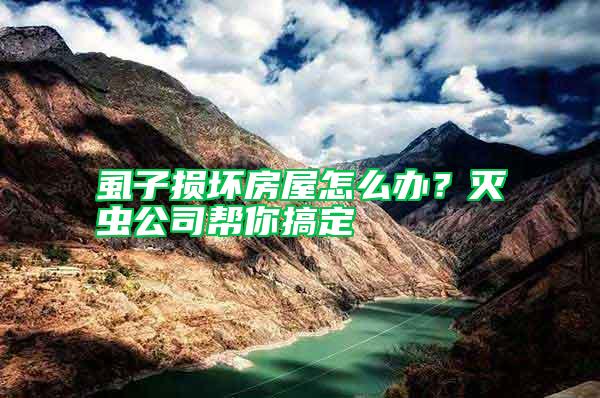 虱子損壞房屋怎么辦？滅蟲公司幫你搞定