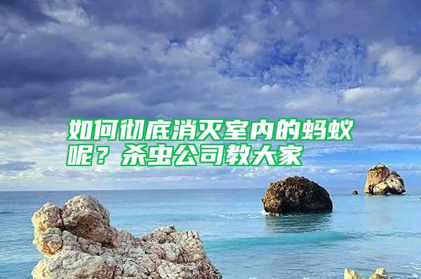 如何徹底消滅室內的螞蟻呢？殺蟲公司教大家