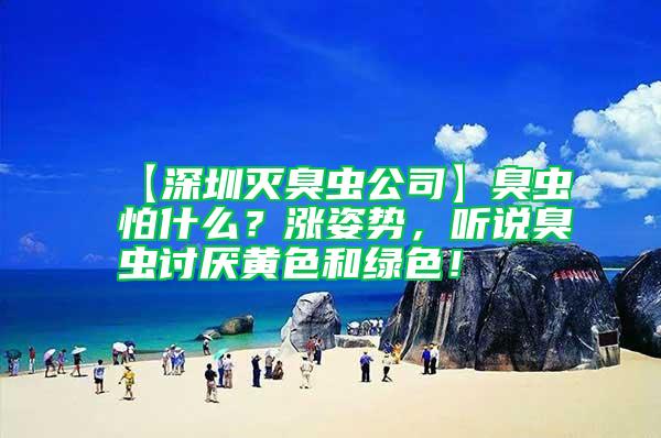 【深圳滅臭蟲公司】臭蟲怕什么？漲姿勢，聽說臭蟲討厭黃色和綠色！