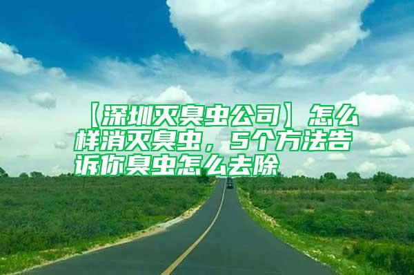 【深圳滅臭蟲公司】怎么樣消滅臭蟲，5個方法告訴你臭蟲怎么去除