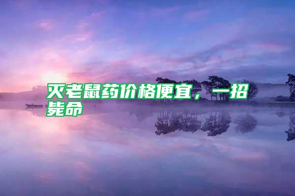 滅老鼠藥價格便宜，一招斃命