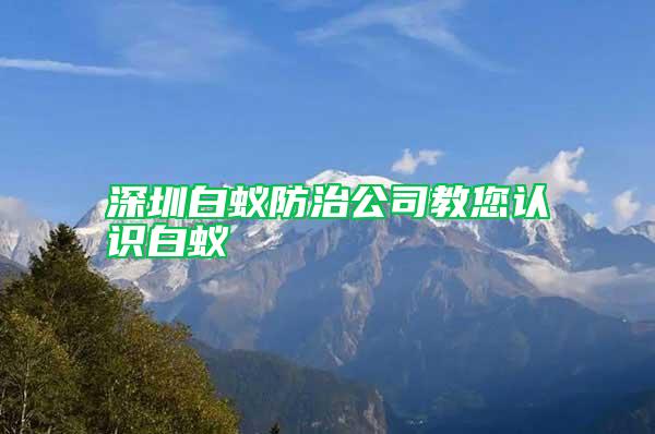 深圳白蟻防治公司教您認(rèn)識白蟻