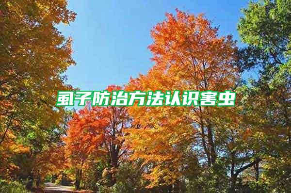 虱子防治方法認識害蟲