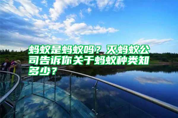 螞蟻是螞蟻嗎？滅螞蟻公司告訴你關(guān)于螞蟻種類知多少？