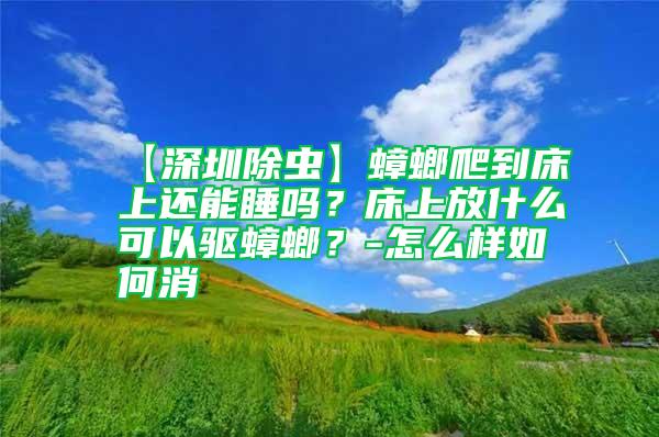 【深圳除蟲】蟑螂爬到床上還能睡嗎？床上放什么可以驅蟑螂？-怎么樣如何消