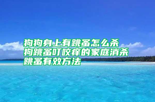 狗狗身上有跳蚤怎么殺  狗跳蚤叮咬癢的家庭消殺跳蚤有效方法