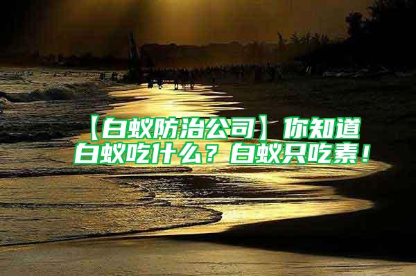 【白蟻防治公司】你知道白蟻吃什么？白蟻只吃素！