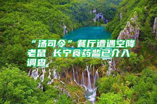 “湯司令”餐廳遭遇空降老鼠 長寧食藥監已介入調查