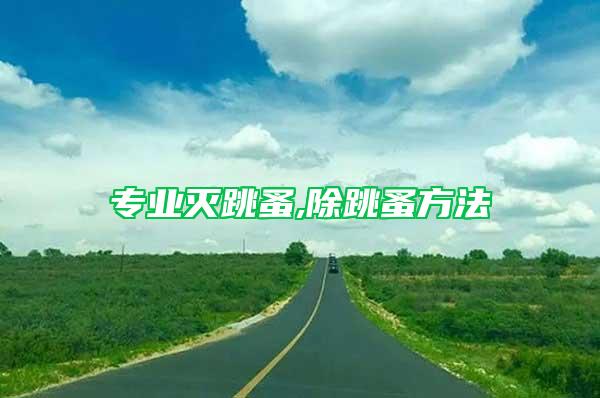 專業滅跳蚤,除跳蚤方法