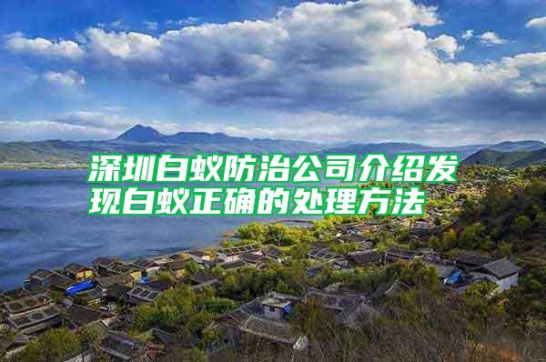 深圳白蟻防治公司介紹發現白蟻正確的處理方法