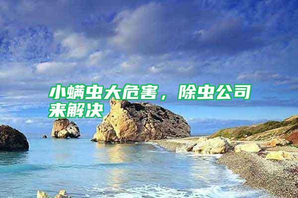 小螨蟲大危害，除蟲公司來解決