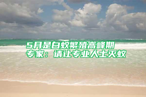 5月是白蟻繁殖高峰期 專家：請讓專業人士滅蟻